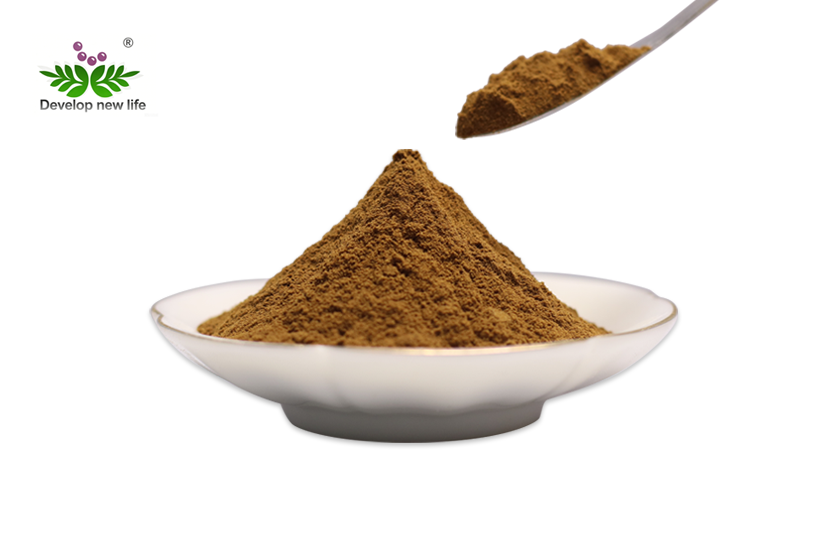 Melissa Extract Powder